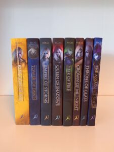 Throne of glass miniature character collection