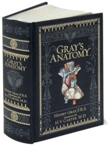 Gray's Anatomy (Barnes & Noble Collectible Editions)