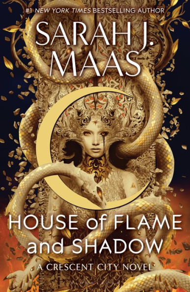 House of Flame and Shadow (UK Paperback)