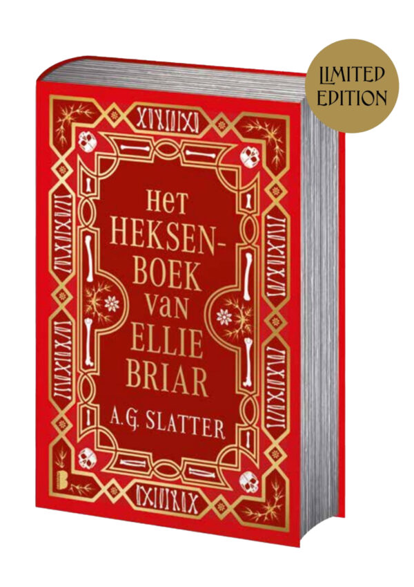 Het heksenboek van ellie briar