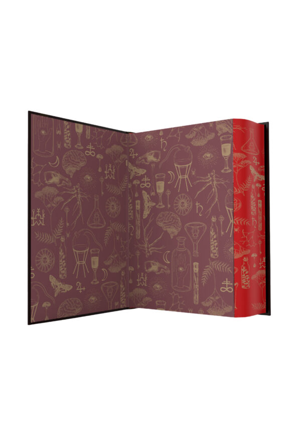 Alchemised (NL Limited Edition) - Afbeelding 3