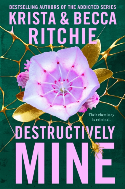 9781035025114 destructively mine
