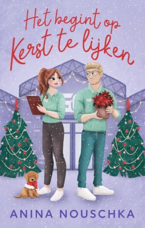 Het begint op kerst te lijken