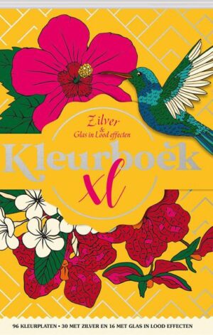 Kleurboek XL - Zilver & Glas in lood effecten - 9789464326796