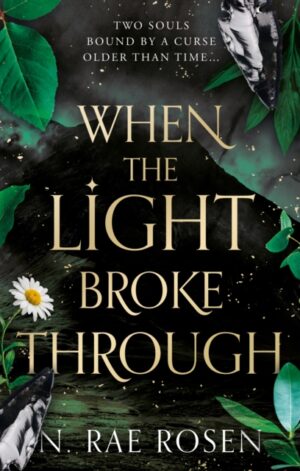 When the Light Broke Through - 9781835744598