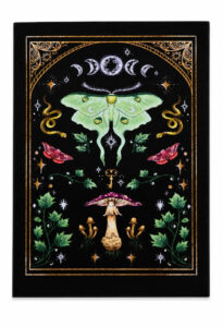Moth & The Moon Artprint
