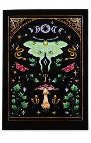 Moth & The Moon Artprint