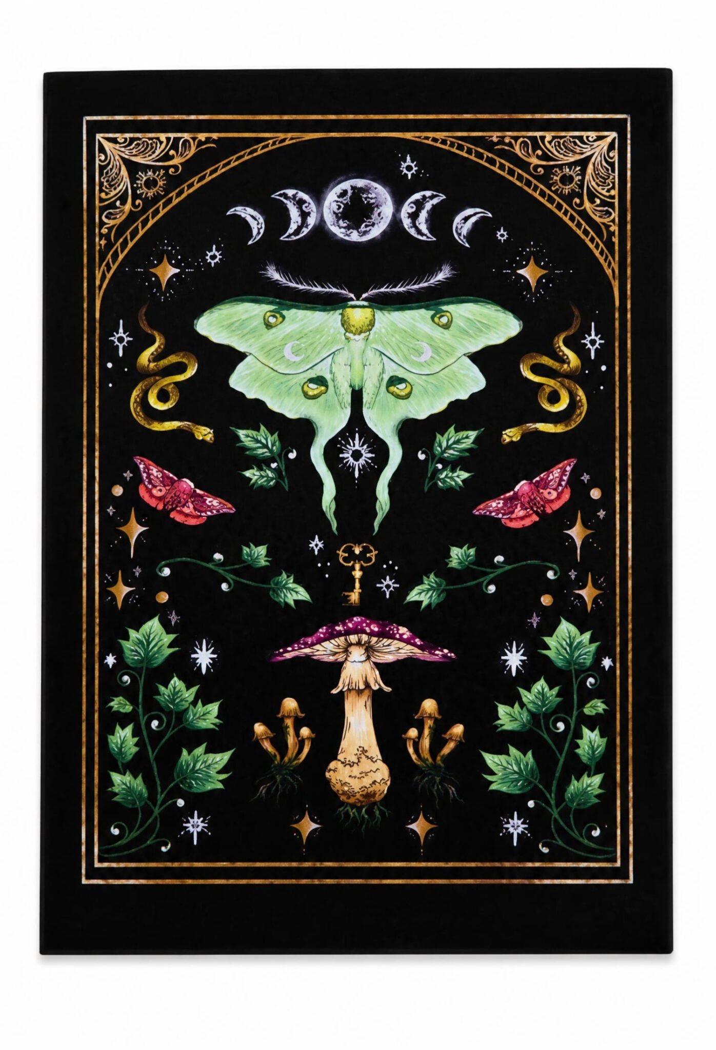 Moth & The Moon Artprint