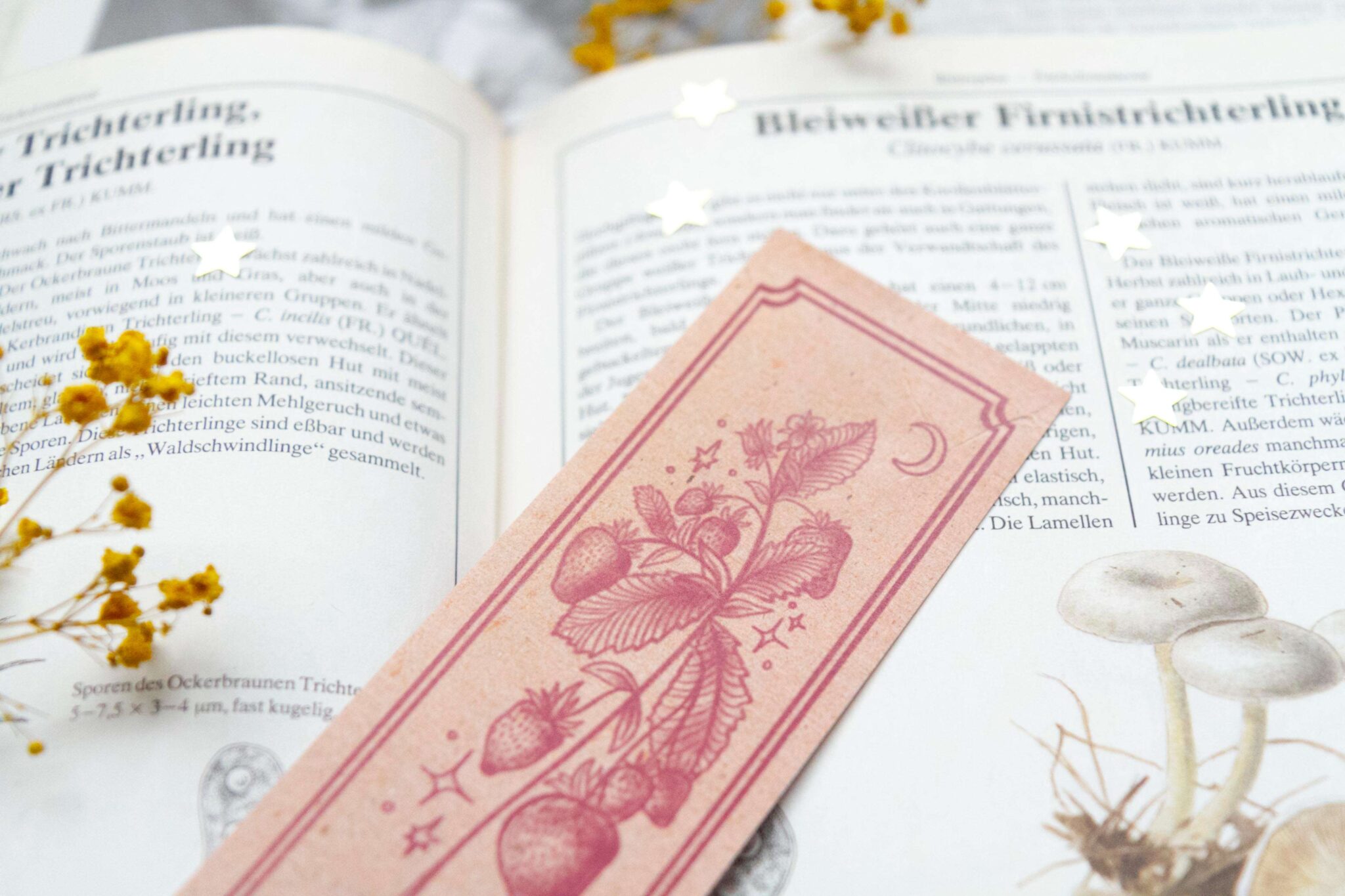 Strawberry Boekenlegger - Afbeelding 4