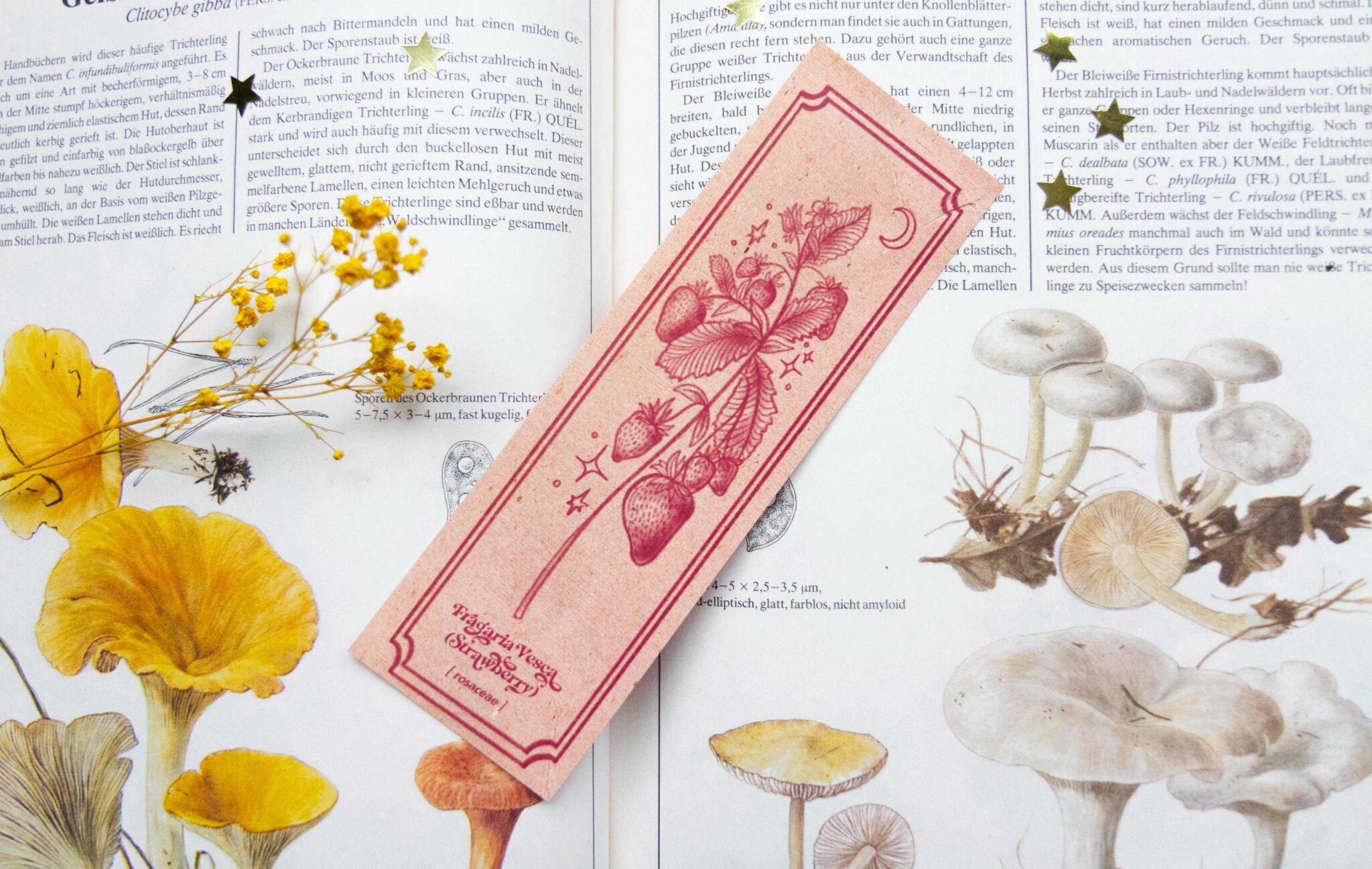 Strawberry Boekenlegger - Afbeelding 6