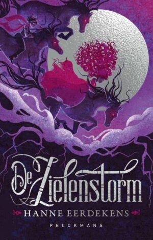 De Zielenstorm - 9789465306162