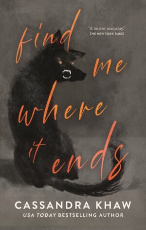 Find Me Where It Ends - 9781250877895