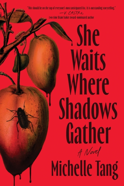 She Waits Where Shadows Gather - 9781464251047