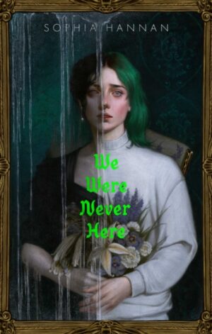 We Were Never Here - 9781665958332