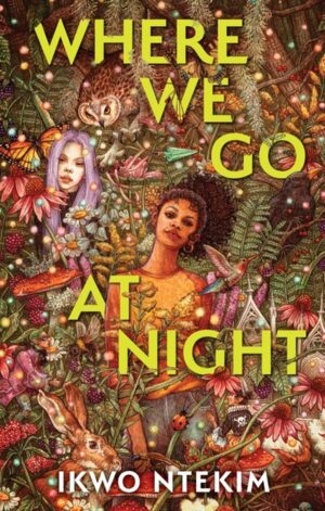 Where We Go at Night