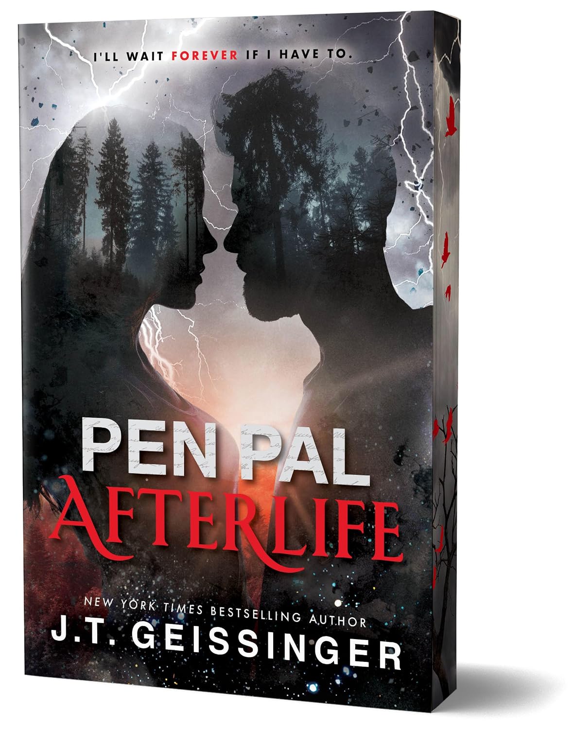 Pen Pal: Afterlife (Deluxe Limited Edition) - 9798256502072